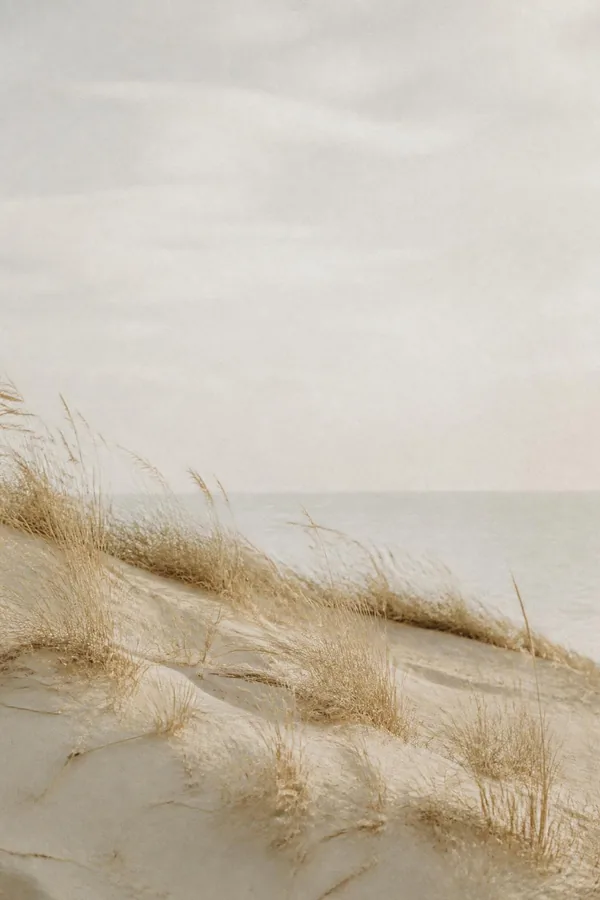 Byron digital wedding invitation template, coastal and dune grass